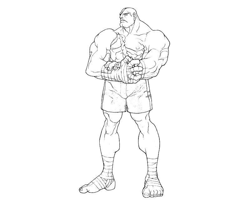 street fighter desenhos para colorir imprimir e pintar do ryu ken sagat chun li e outros