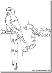 go_diego_go_dora_desenhos_imprimir_colorir_pintar-03 go_diego_go_dora_desenhos_imprimir_colorir_pintar-03