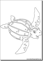 go_diego_go_dora_desenhos_imprimir_colorir_pintar-09 go_diego_go_dora_desenhos_imprimir_colorir_pintar-09