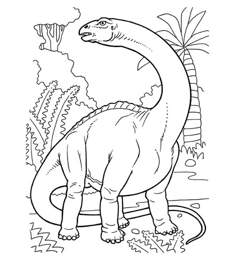 Desenhos de Dinossauros para colorir imprimir e pintar: Tiranossauro Rex,  Brontossauro, Velociraptor, Triceratops, etc - Desenhos para pintar e  colorir